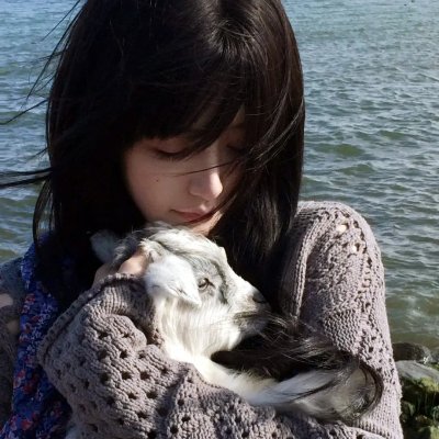 晚爱拾照终相逢